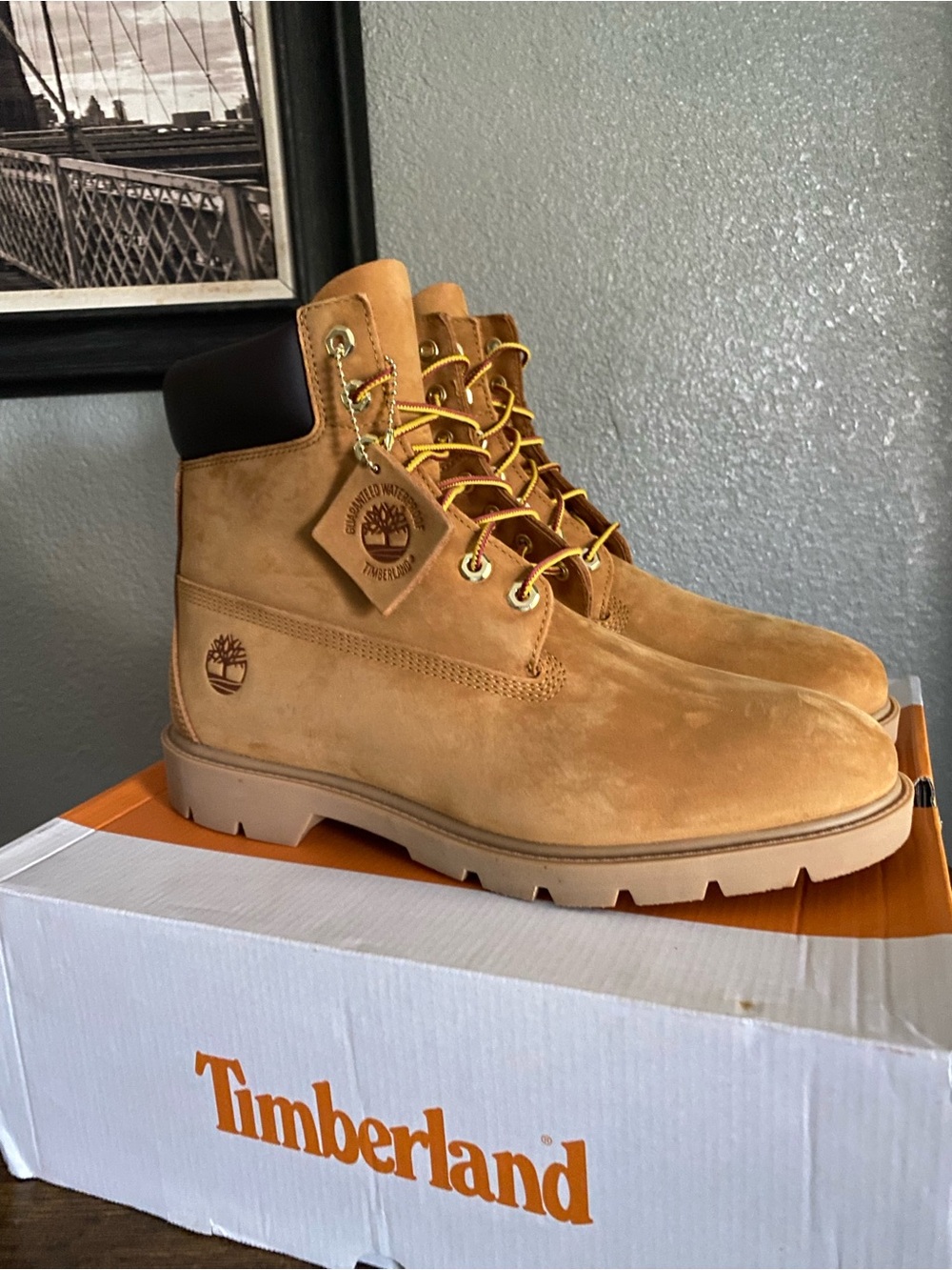 New Timberland Classic 6-Inch Waterproof Boots